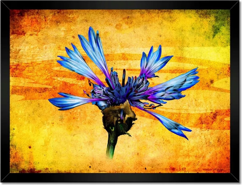 Poszterek keretben 40x30 Chaber