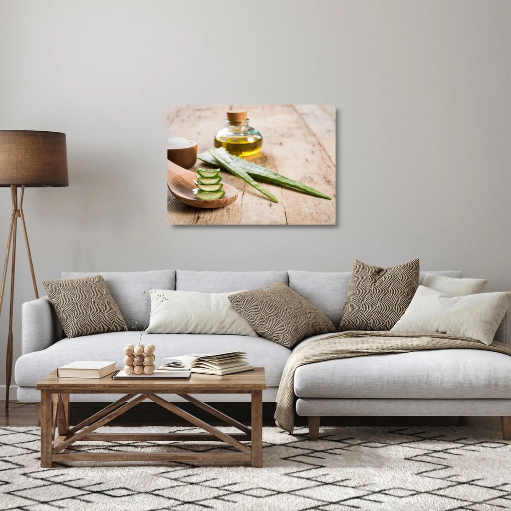Üveg kép - Aloe vera (70x50 cm)