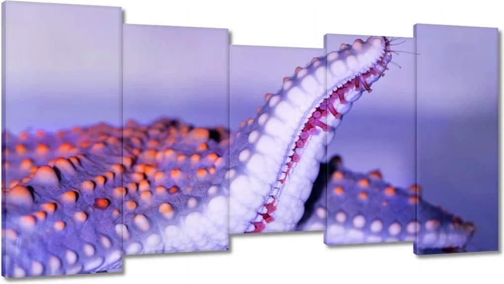 Vászonkép 150x80 Állatok