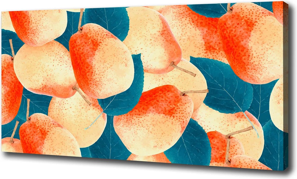 Canvas falikép Körte 100x70 cm