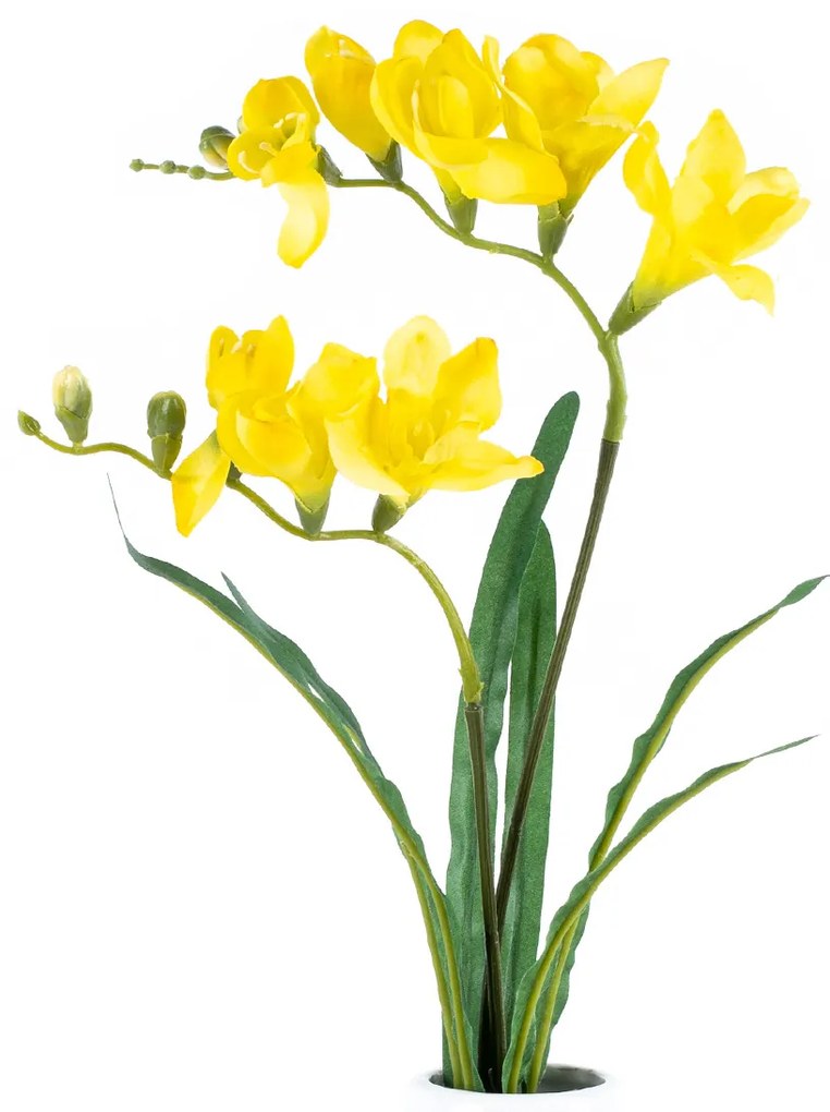 Freesia művirág sárga, 57 cm