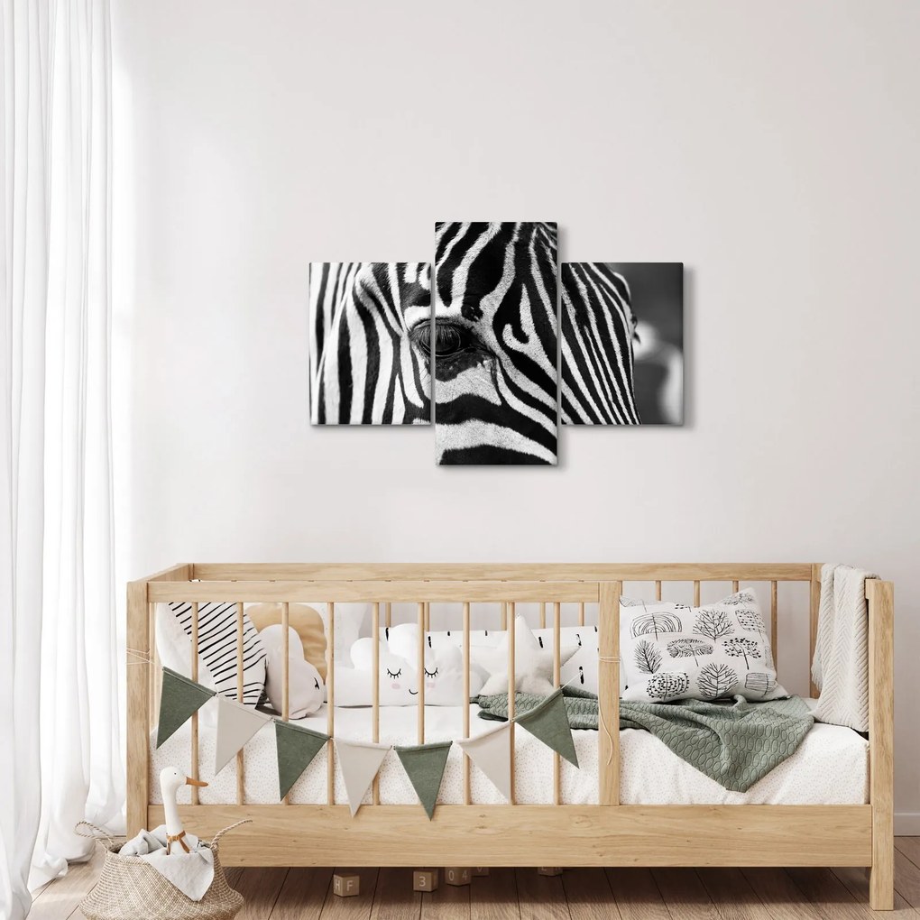 Zebra képe (90x60 cm)
