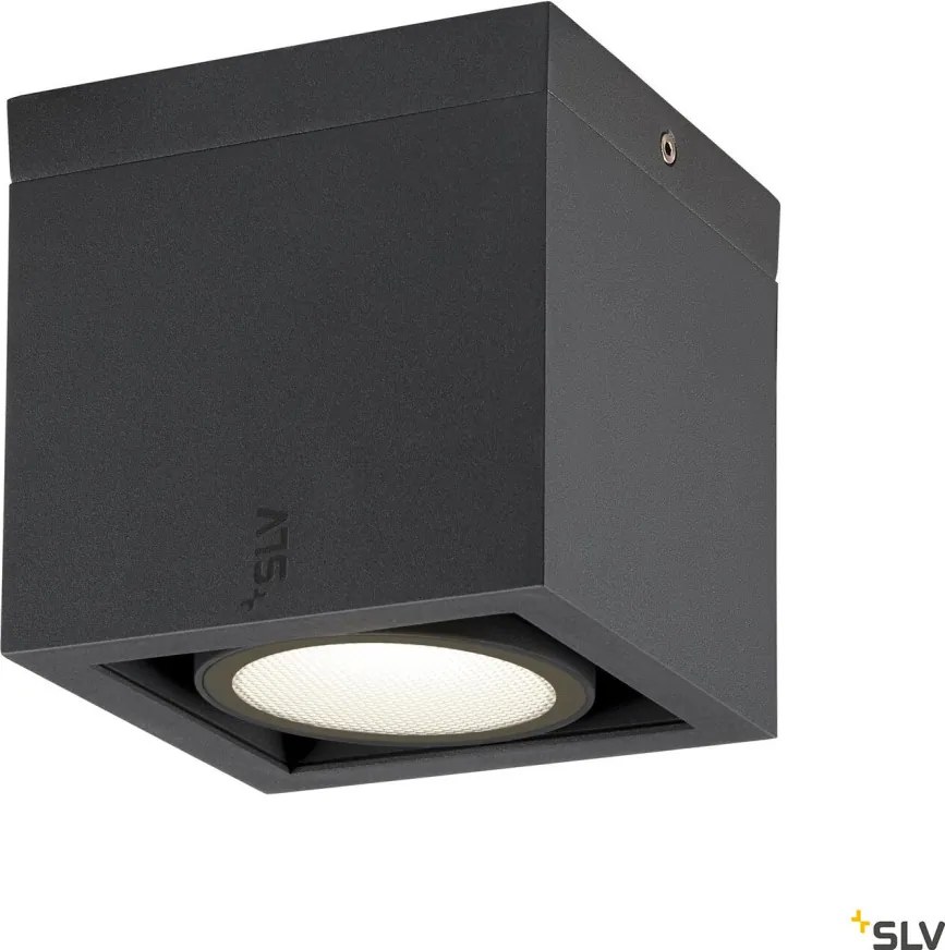 SLV 1006316 ESKINA Modern Kültéri Mennyezeti Lámpa LED IP65