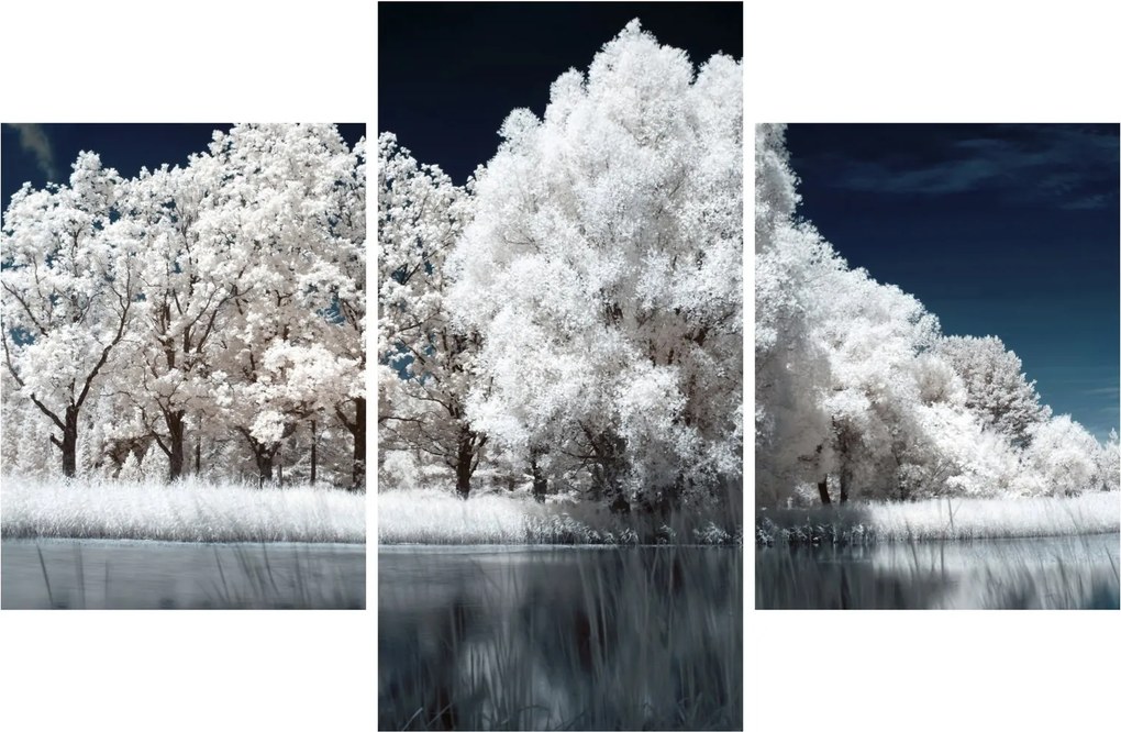 Kép - Hófehér fák (90x60 cm)
