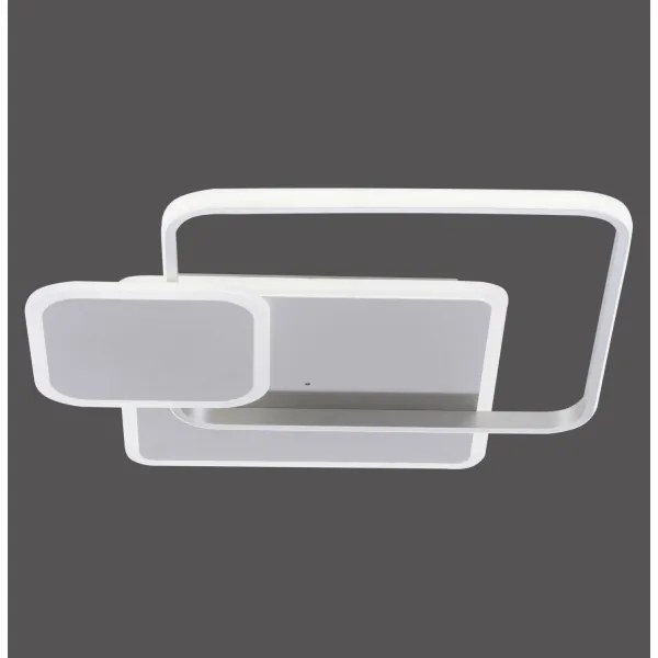 Paul Neuhaus 8319-55 - LED Szabályozható mennyezeti lámpa EMILIO LED/53W/230V + távirányító