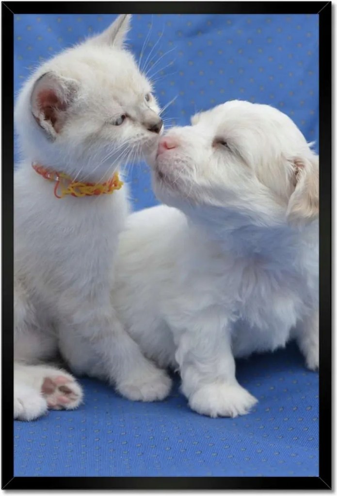 Poszterek keretben 40x60 Szerelem Érzés Párkapcsolat