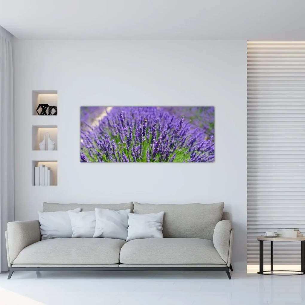 Kép - levandula (120x50 cm)