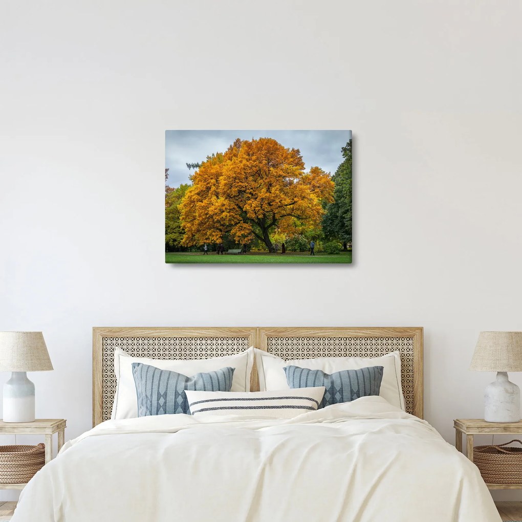 Fa képe (70x50 cm)