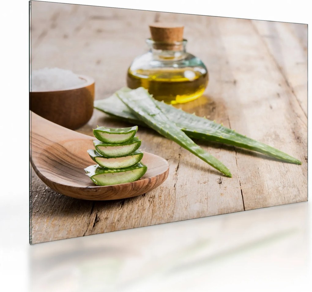 Üveg kép - Aloe vera (70x50 cm)