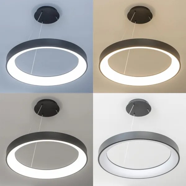 Brilagi - LED dimmelhető kábeles csillár FALCON II LED/99W/230V átm. 60 cm fekete + távirányító