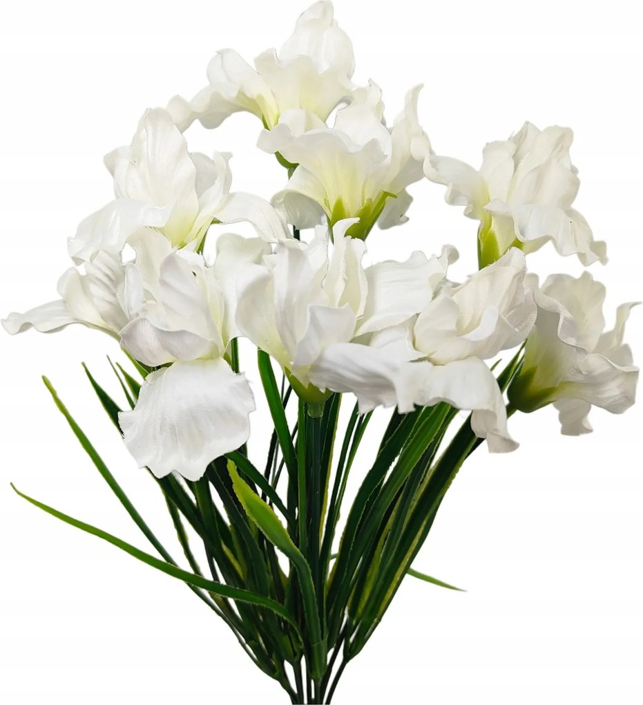 Írisz csokor x9 krémszínű (sp)