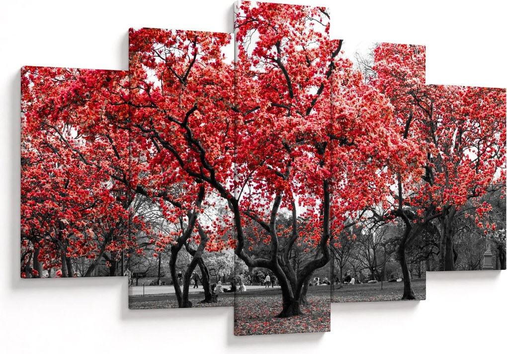 Kép - vörös fák, Central Park, New York (150x105 cm)