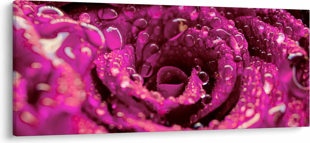 Rózsaszín rózsa virágzata képe (120x50 cm)