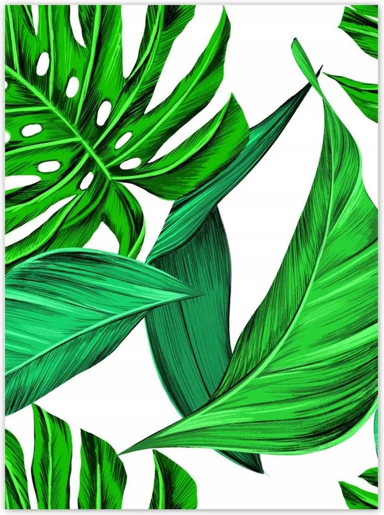 Poszterek 100x135 Zamatos Monstera Trópusok