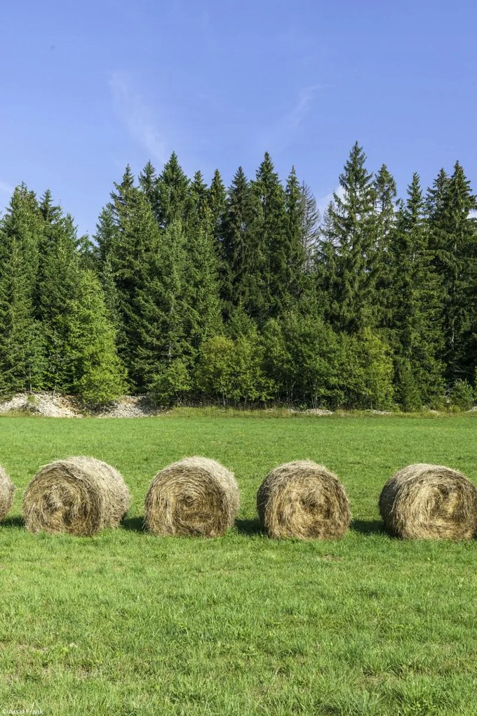 Poszter 20x30cm Szénakazalok a fűben, Assaf Frank