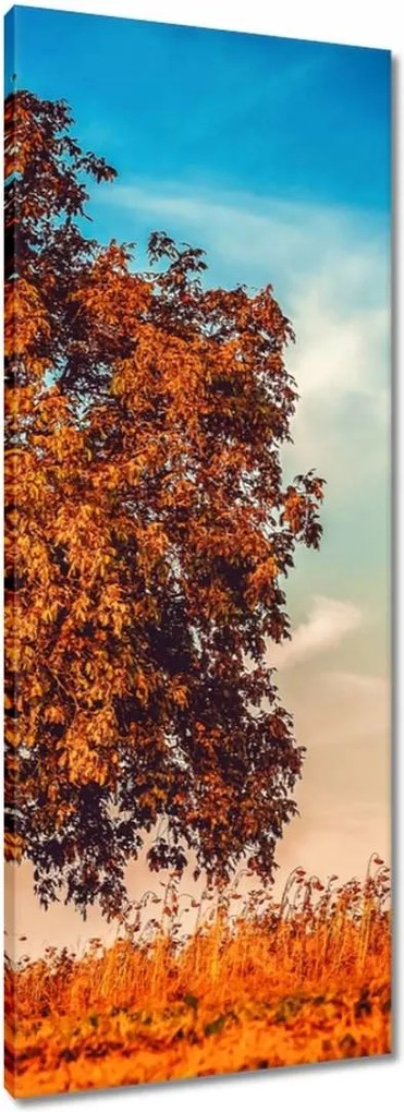Vászonkép 40x100 Őszi színek Tájkép
