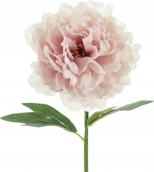 Művirág Bazsarózsa, 35 cm, halvány rózsaszín