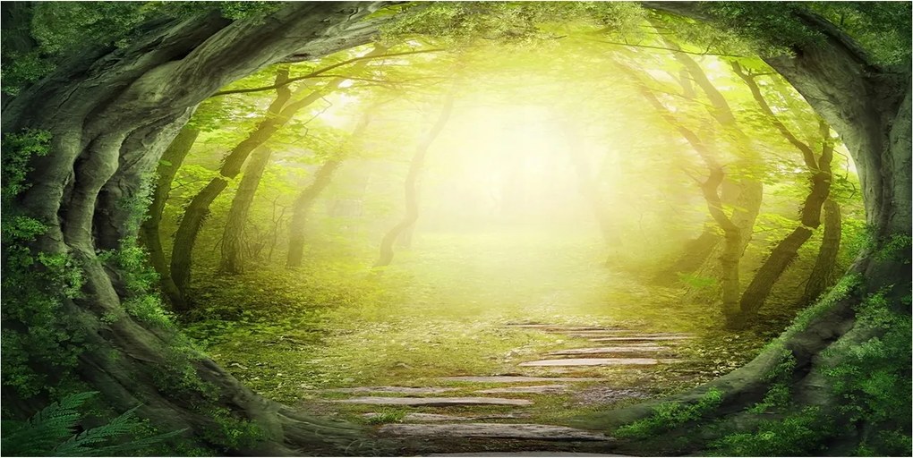 Fotó kép edzett üveg Alagút fákkal 140x70