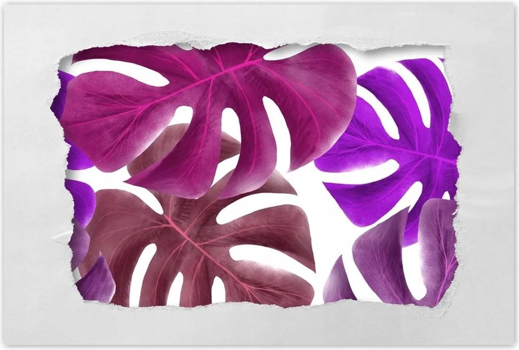 Poszter 60x40 Monstera Levelek Lila