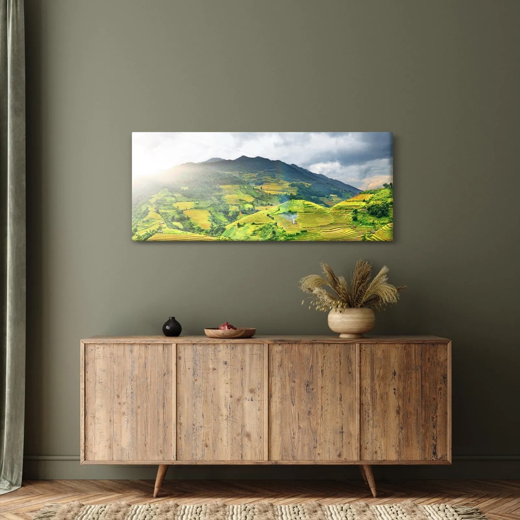 Ültetvények képe (120x50 cm)