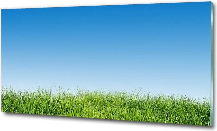 Fotótapéta falra edzett üveg Levendula 125x50