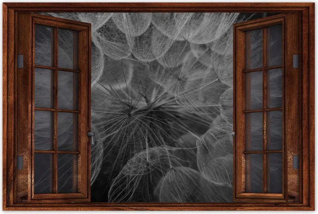 Poszterek 60x40 Pitypang Virág Virágok