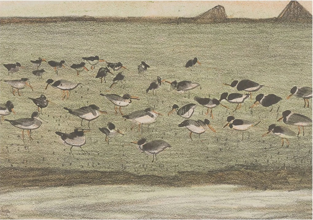 Fotótapéta Dekoratív Fali Tapéta Madár nyugalom képek 312x219