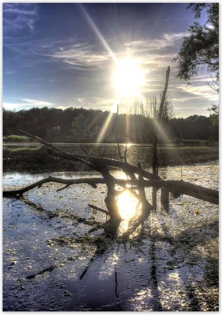 Poszterek 70x100 Naplemente a tóparton