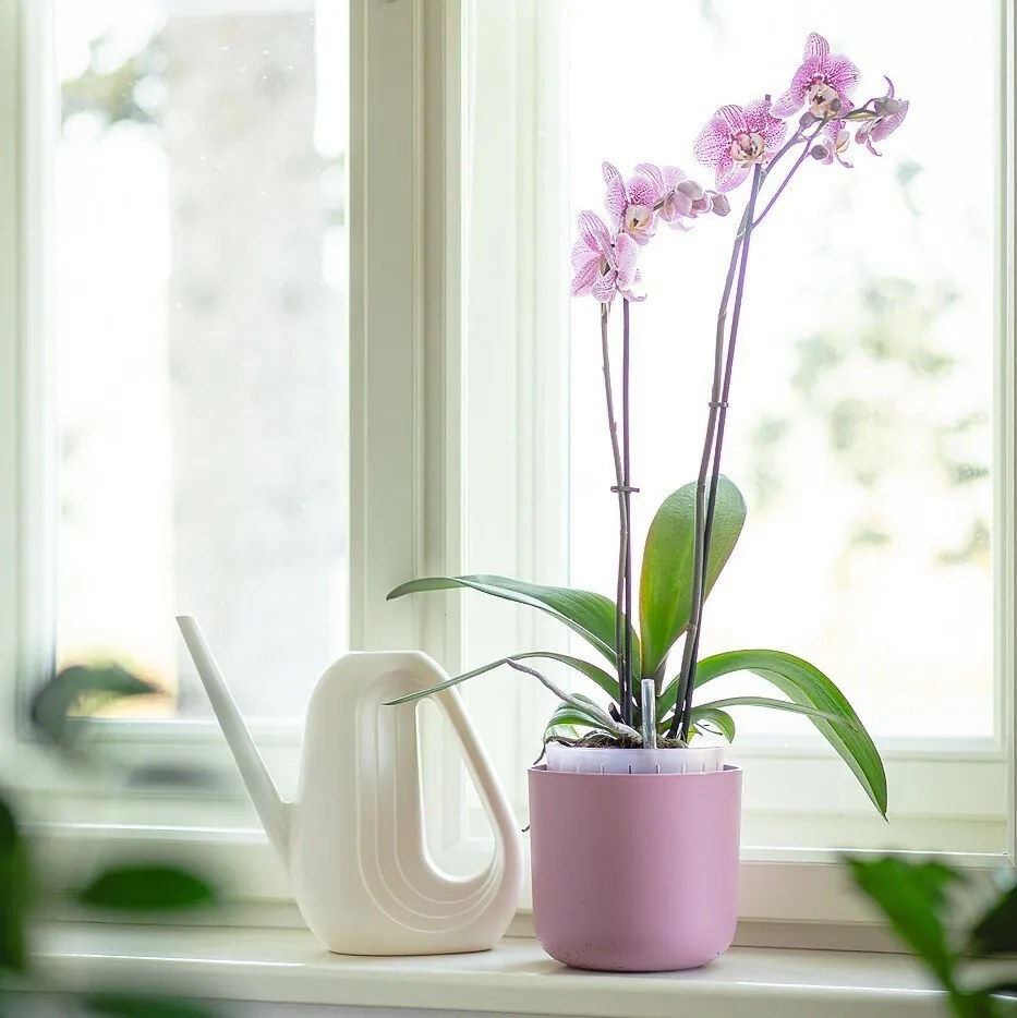 Plastia öntözőedény Tolita Air rózsaszín, átmérő19 cm, 19 cm átmérőjű