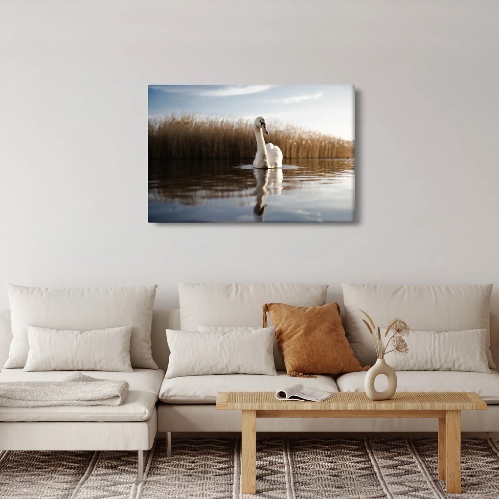 Hattyú képe (90x60 cm)