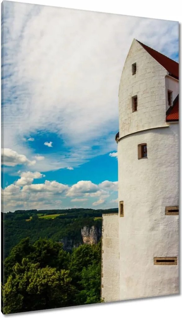 Vászonkép 80x120 Wildenstein kastély Műemlék