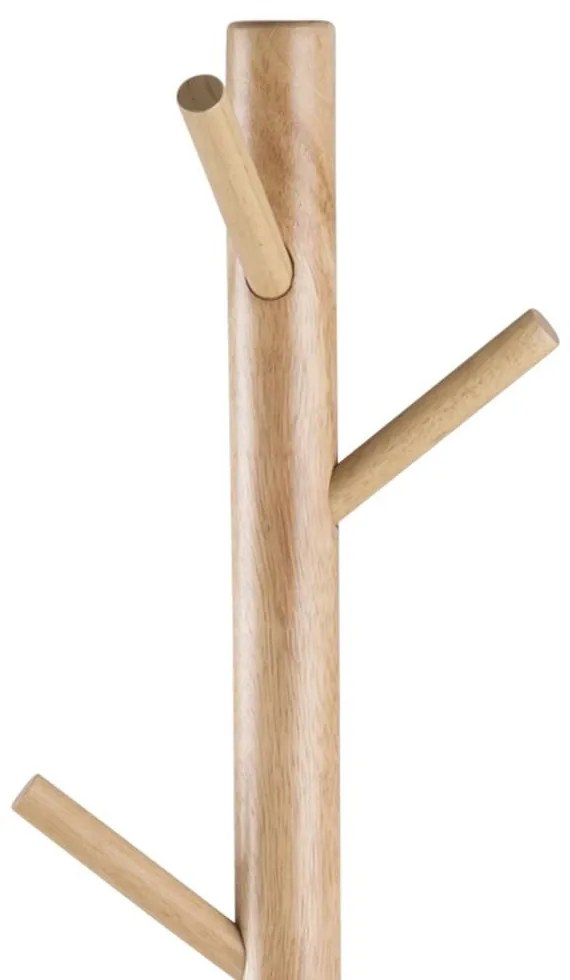 Braven fogas