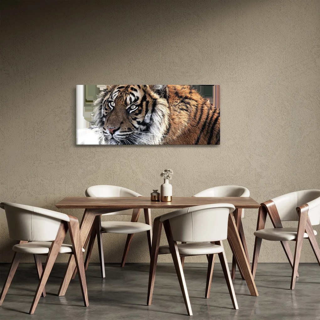 Tigris képe (120x50 cm)