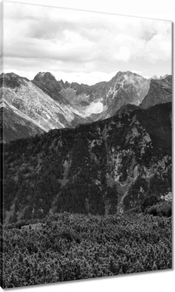 Vászonkép 70x100 Tátra Lengyel hegyek Kilátás