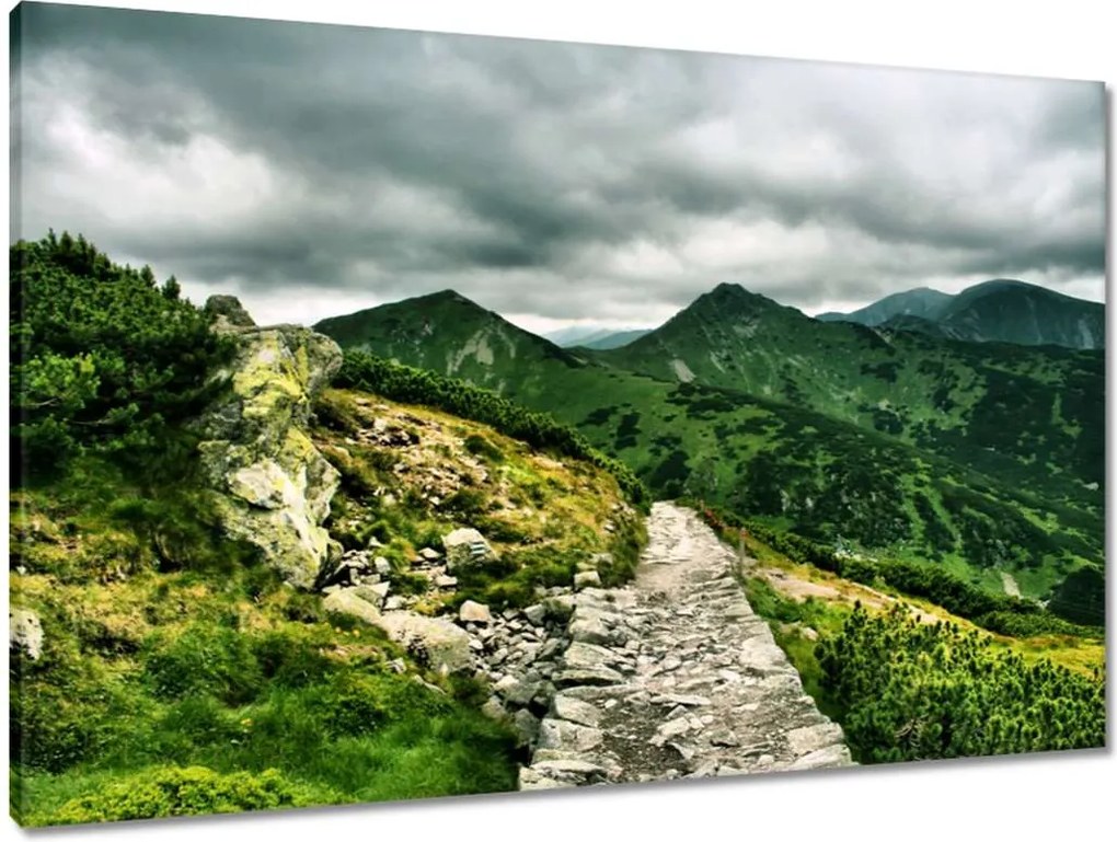 Vászonkép 90x60 Utak a Tátrában