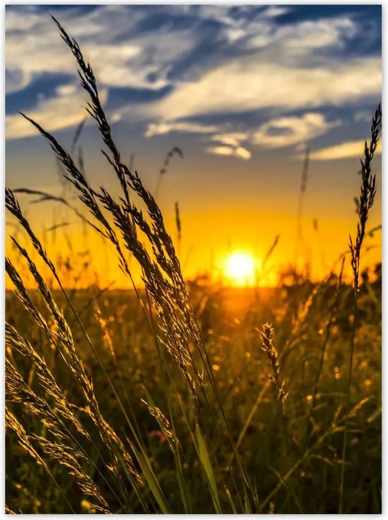 Poszterek 100x135 Naplemente a füvek között