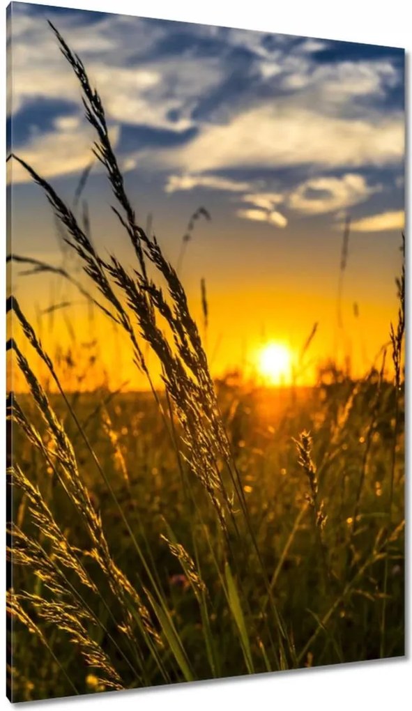 Vászonkép 80x120 Naplemente a füvek között