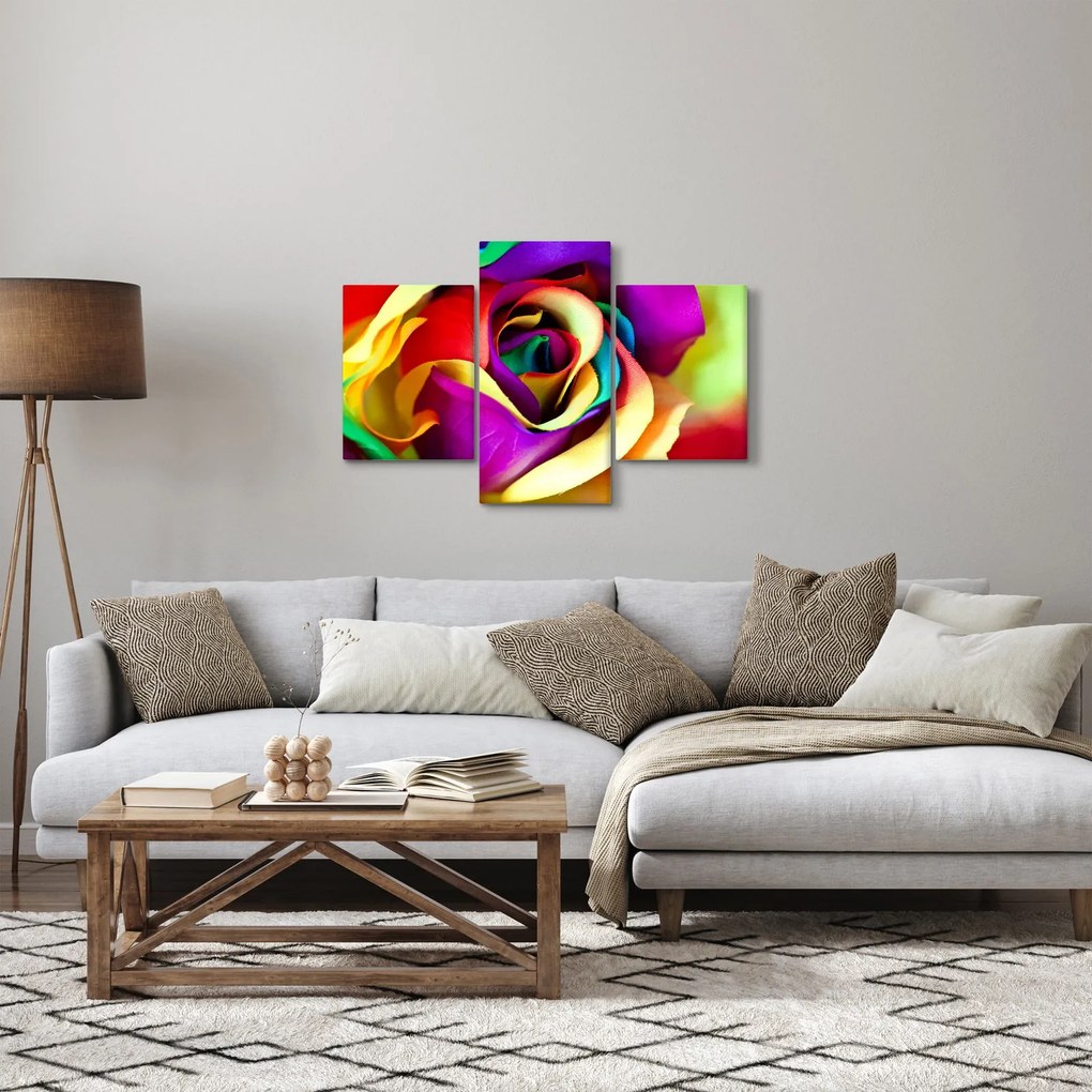 Kép - Színes rózsa (90x60 cm)