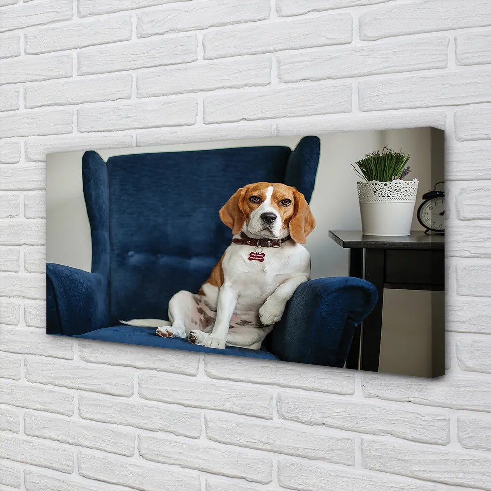 Canvas képek ül kutya 120x60 cm