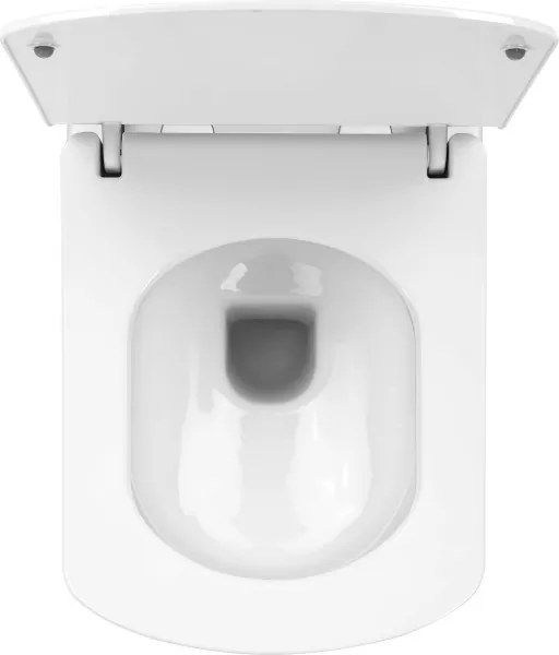 Anemon PN WC