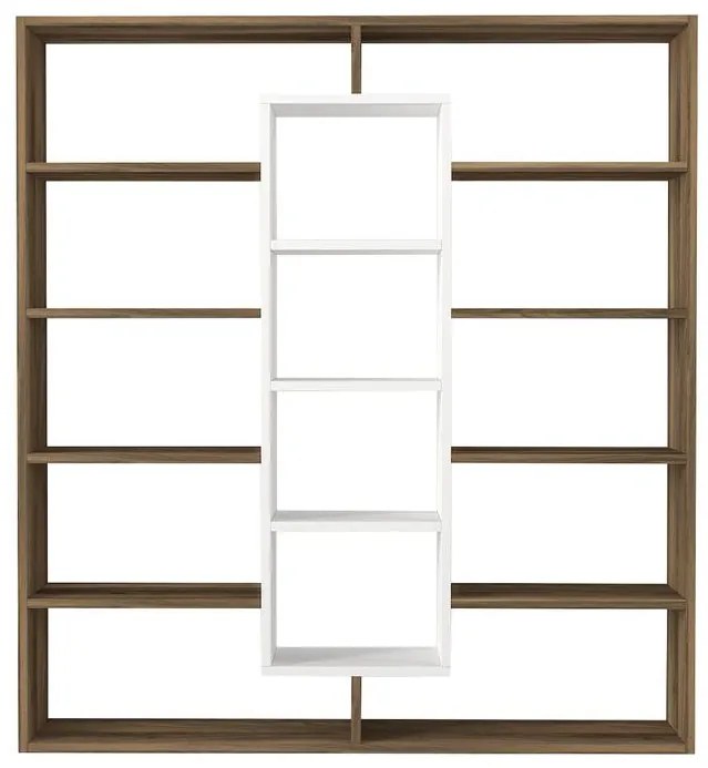 könyvespolc Ample - Walnut, White
