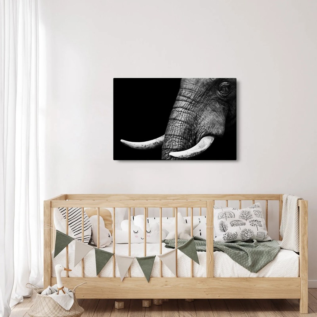 Kép - Elefánt agyar (90x60 cm)
