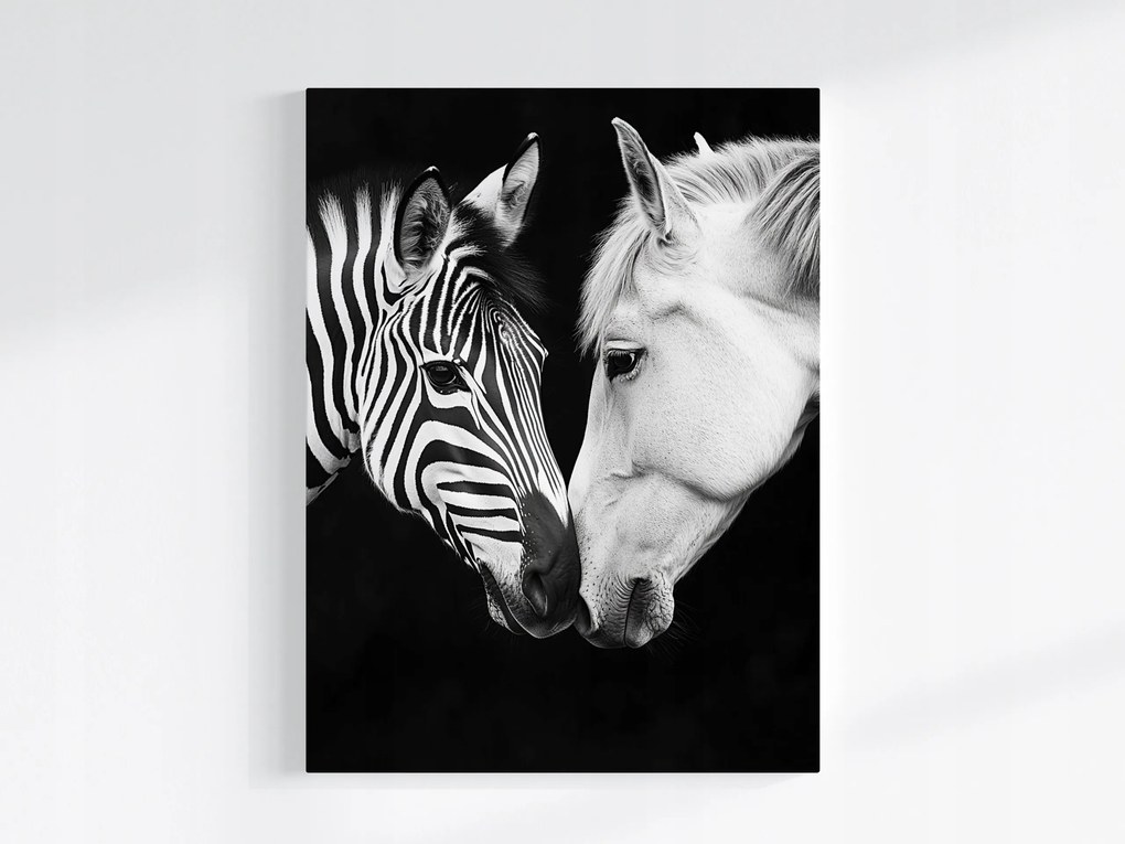 Canvas Vászonkép Portré Ló Zebra Fehér Fekete Kontraszt B&amp;w 60x80