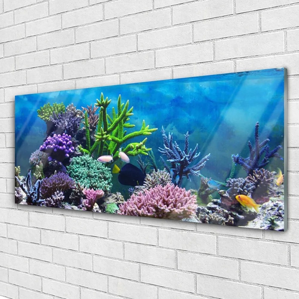 Üvegkép Akváriumi halak a víz alatt 120x60cm