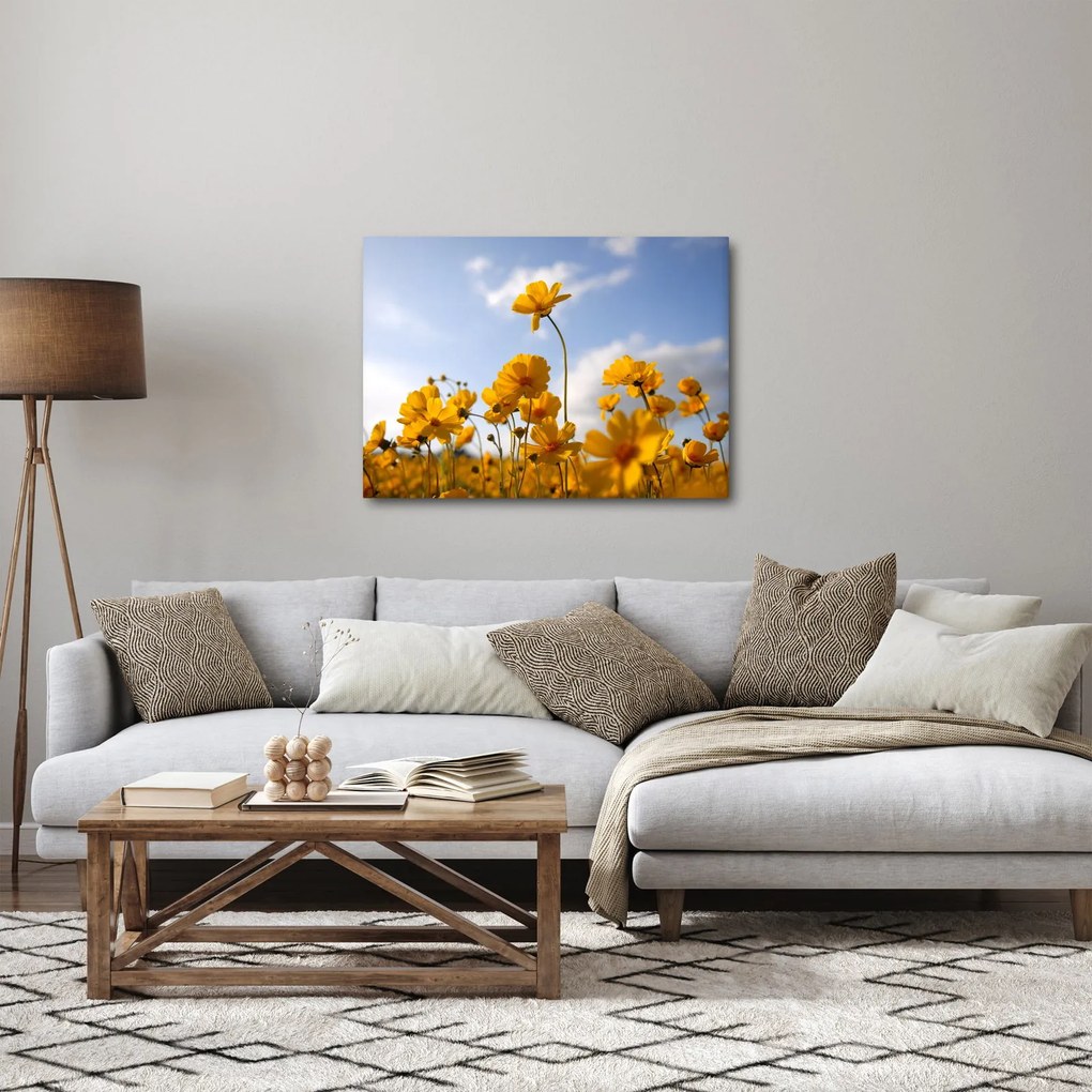 Fényes sárga virágokkal rendelkező mező képe (70x50 cm)