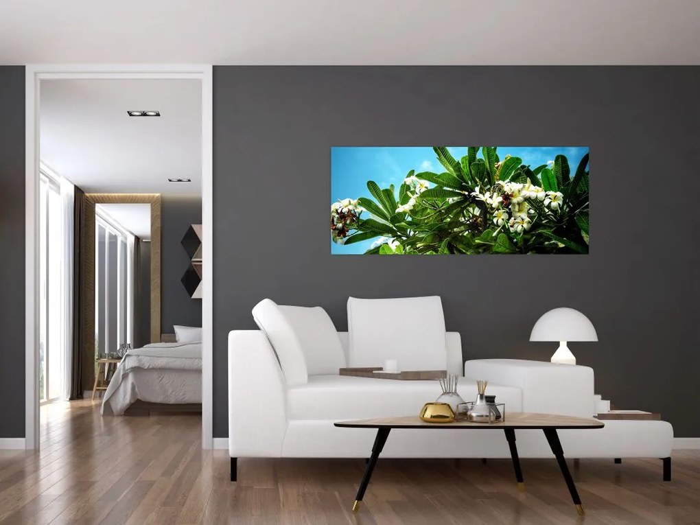 Kép - Plumeria (120x50 cm)