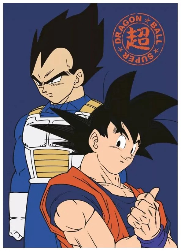 Dragon Ball polár takaró 100x140cm