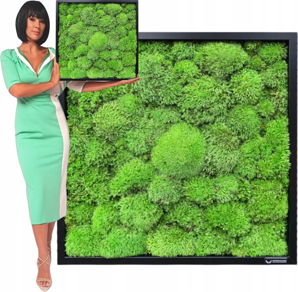 Mohakép fa keretben 50x50 cm-es mohapárna Moha Dísz