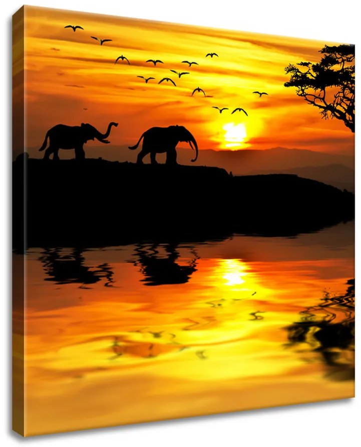 Gario Vászonkép Afrika Méret: 100 x 40 cm