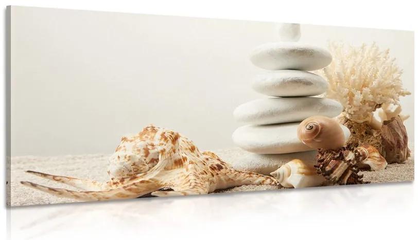 Kép a Zen kő és kagylók